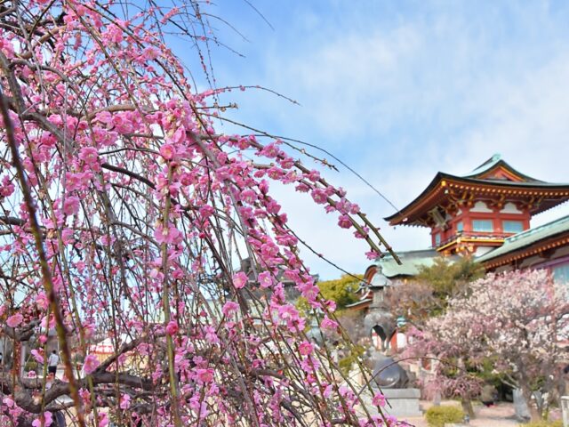 山口日帰りバスツアー